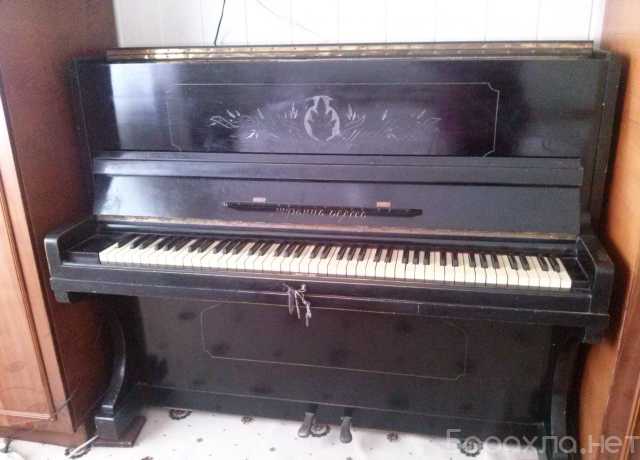 Продам: Продам Пианино Черного Цвета